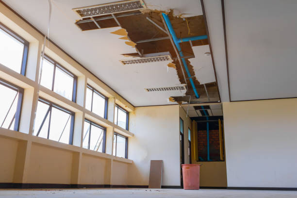 Best Commercial water damage restoration  in Erin, TN