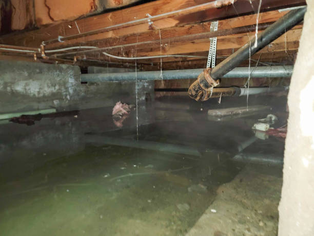  Erin, TN Water damage restoration Pros