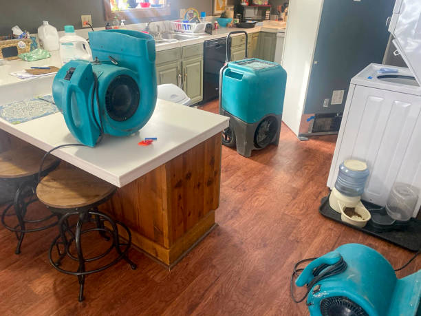 Best 24-hour water damage restoration  in Erin, TN