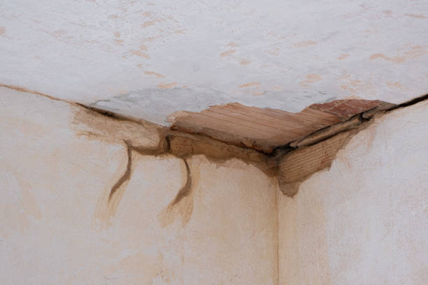 Best Local water damage restoration  in Erin, TN
