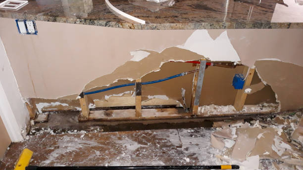 Best Water damage restoration mold remediation  in Erin, TN