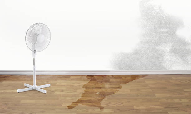 Best Emergency water damage restoration  in Erin, TN