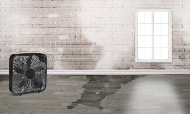 Water damage restoration experts in Erin, TN