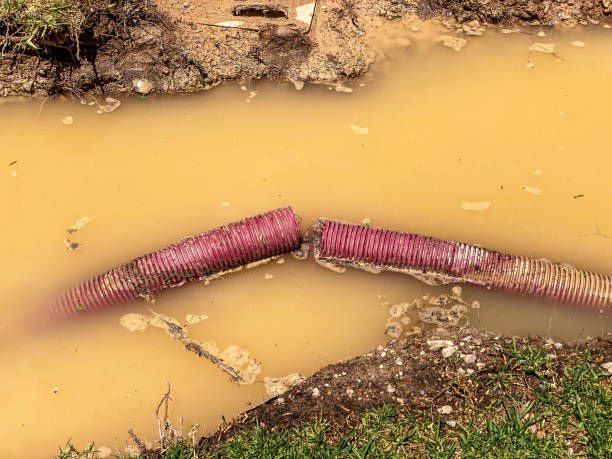 Best Emergency water extraction  in Erin, TN