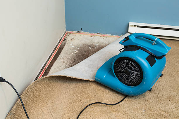 Best Fire Damage Restoration  in Erin, TN