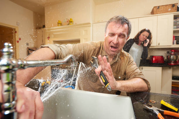Best Sewage cleanup and water damage restoration  in Erin, TN